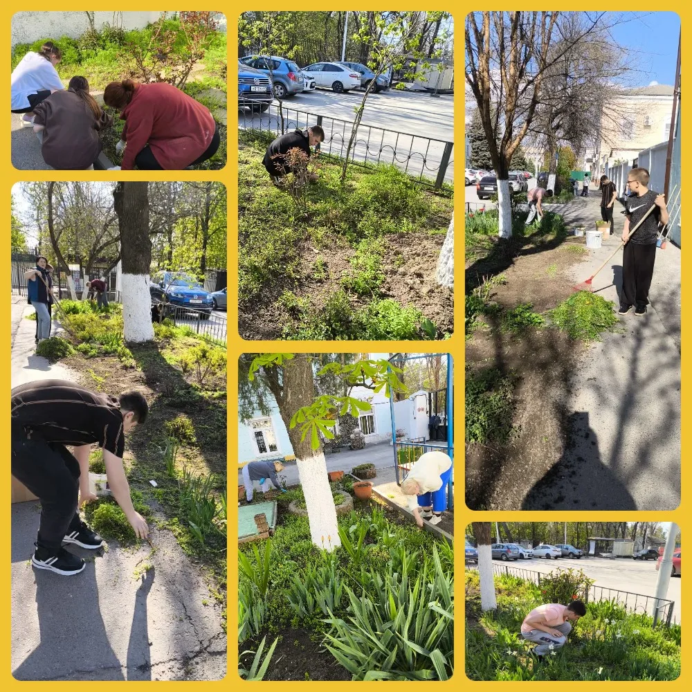 Мы за чистоту: как прошёл наш субботник!